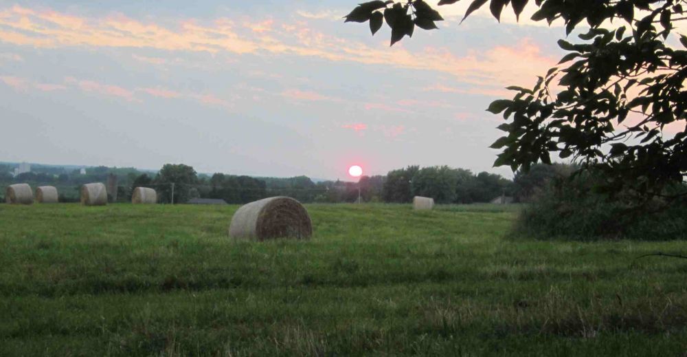 Hay at end of day